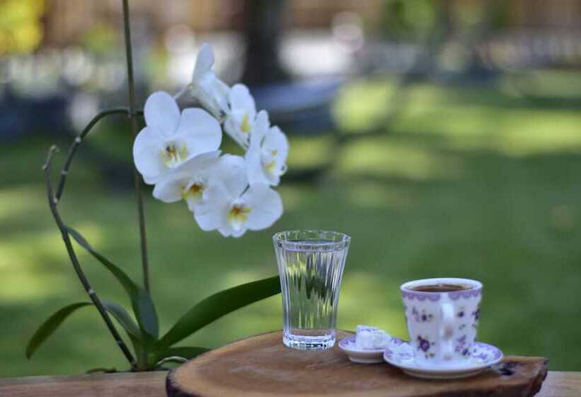 تختخواب و صبحانه Likya Adrasan