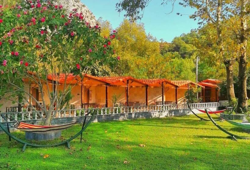 تختخواب و صبحانه Likya Adrasan