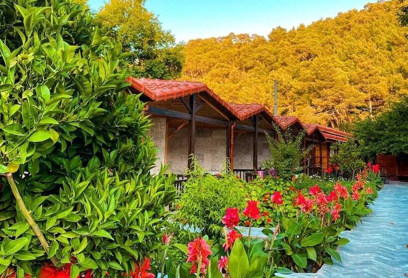 تختخواب و صبحانه Likya Adrasan