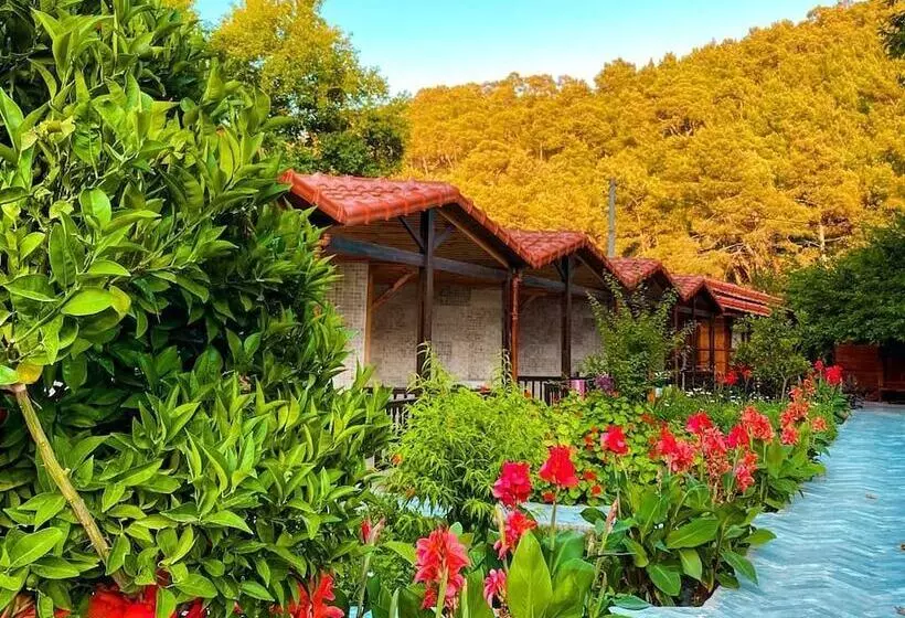 تختخواب و صبحانه Likya Adrasan