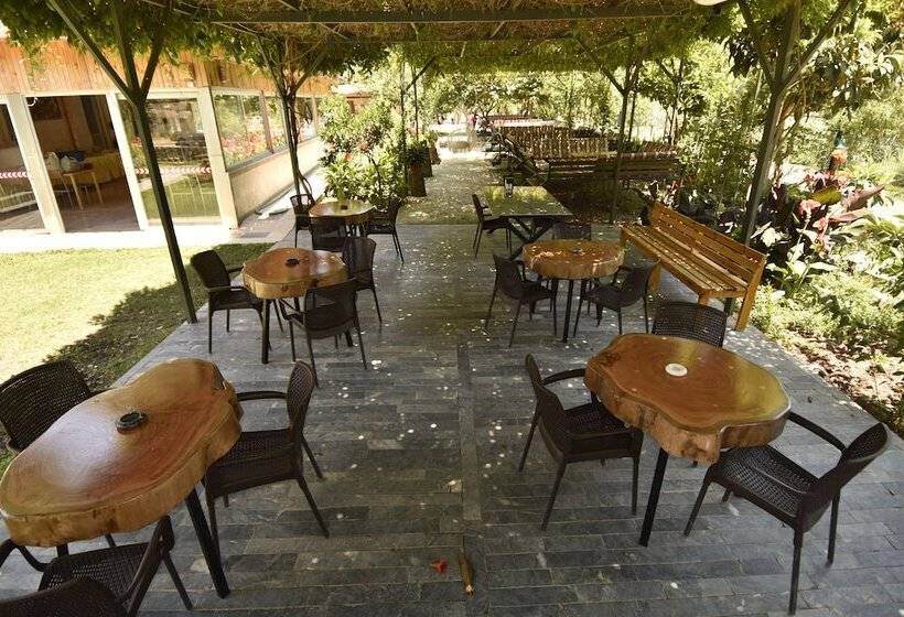 تختخواب و صبحانه Likya Adrasan