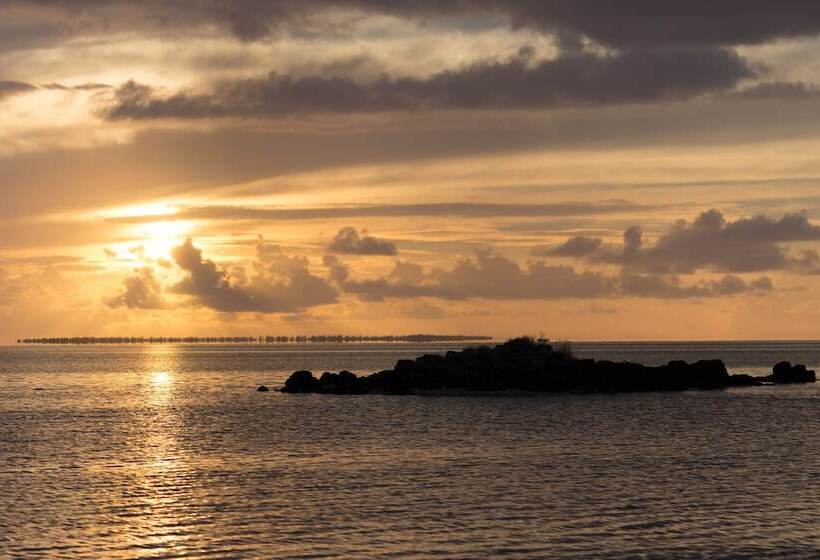 Hostal Oasis Vacances