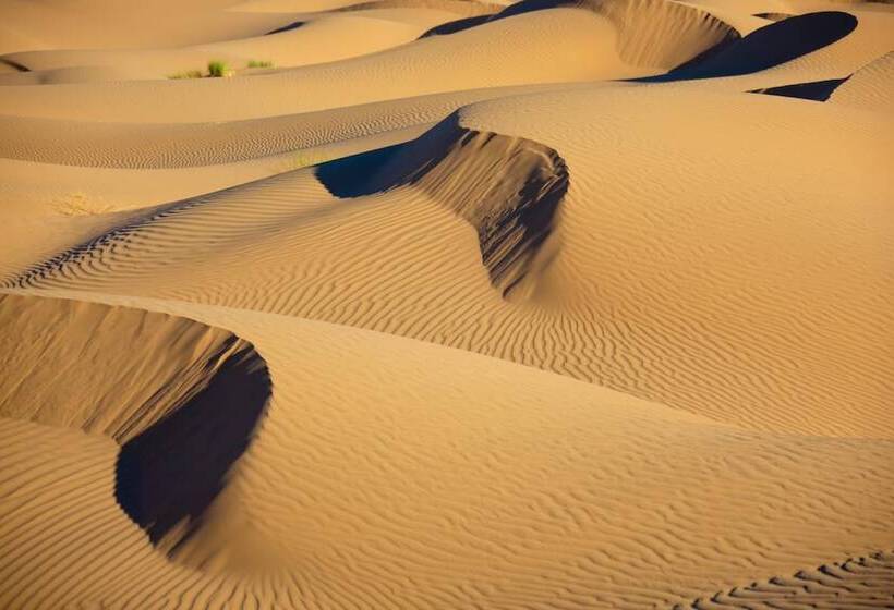 هتل La Dune Blanche