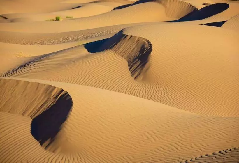 هتل La Dune Blanche