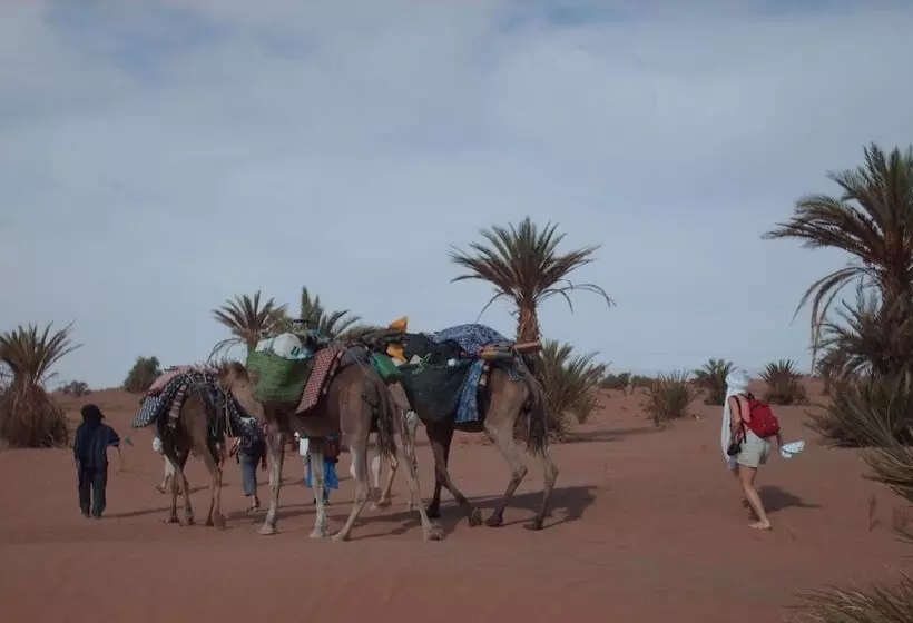 هتل La Dune Blanche