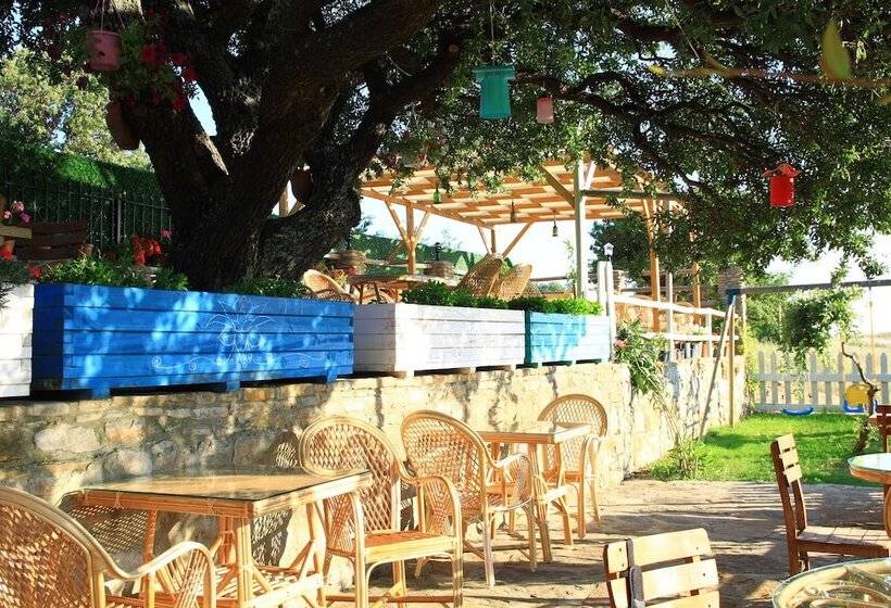 هتل Laz Koyu Konukevi