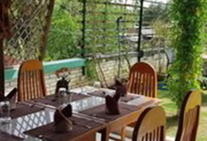 پانسیون Golden Rose Guest House