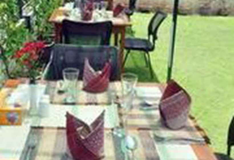 پانسیون Golden Rose Guest House