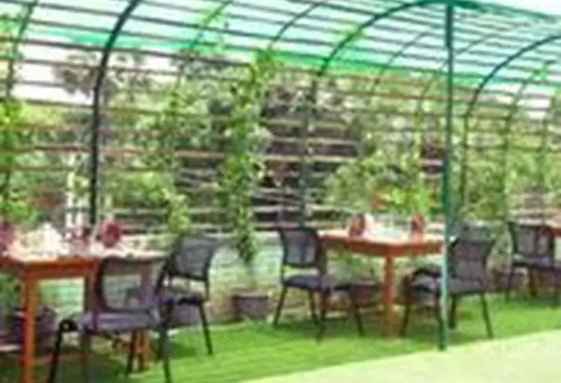 پانسیون Golden Rose Guest House