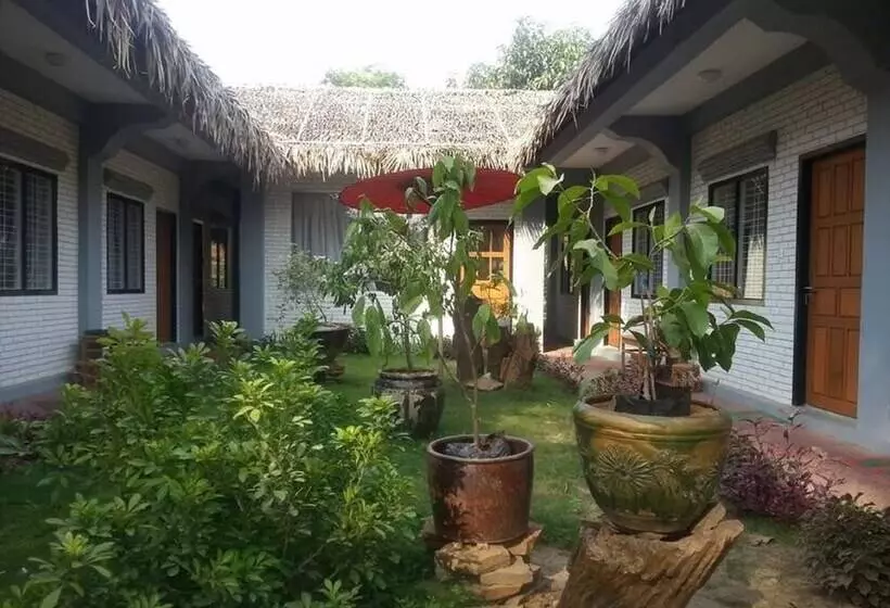 پانسیون Golden Rose Guest House