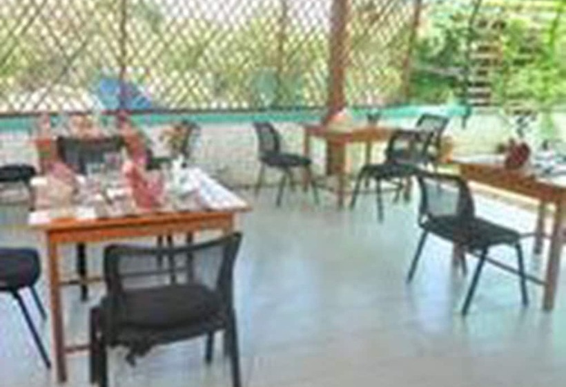 پانسیون Golden Rose Guest House