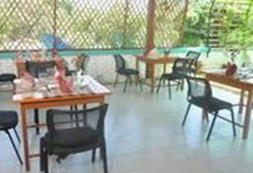 پانسیون Golden Rose Guest House