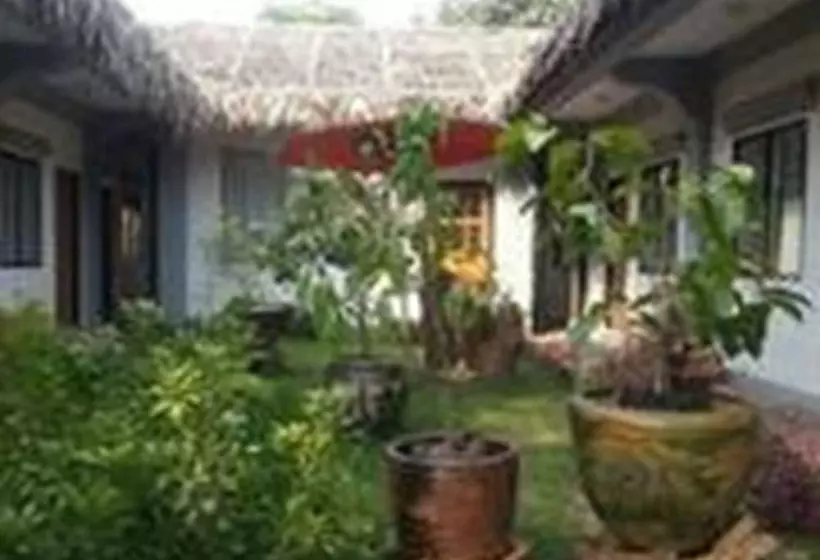 پانسیون Golden Rose Guest House