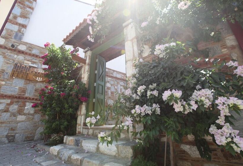 בית מלון כפרי Celsus Boutique