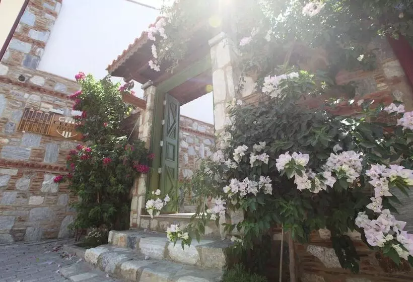 ホテル Celsus Boutique