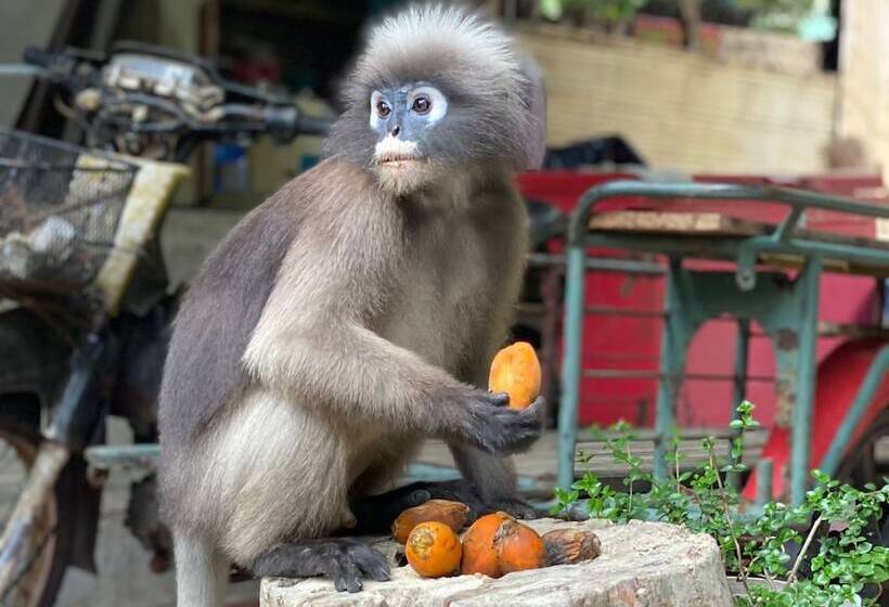 هتل Chill Out Bar And Bungalows