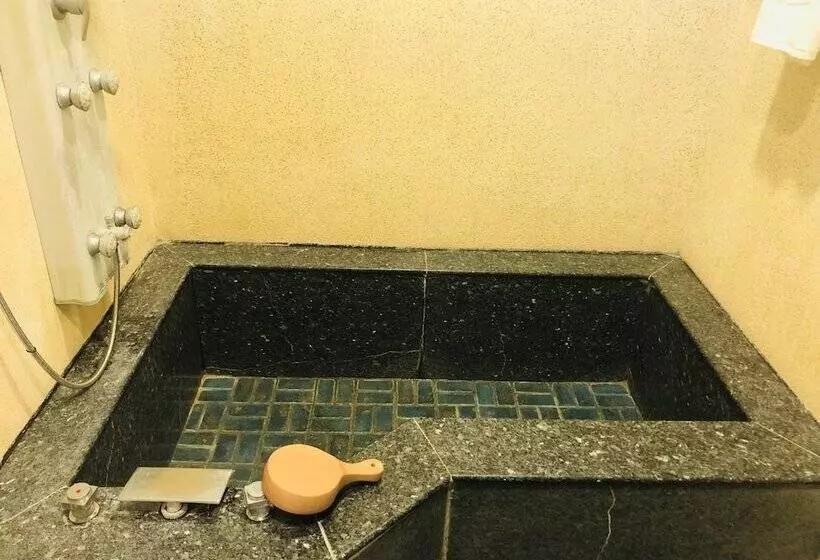 هتل Youngs Hotspring