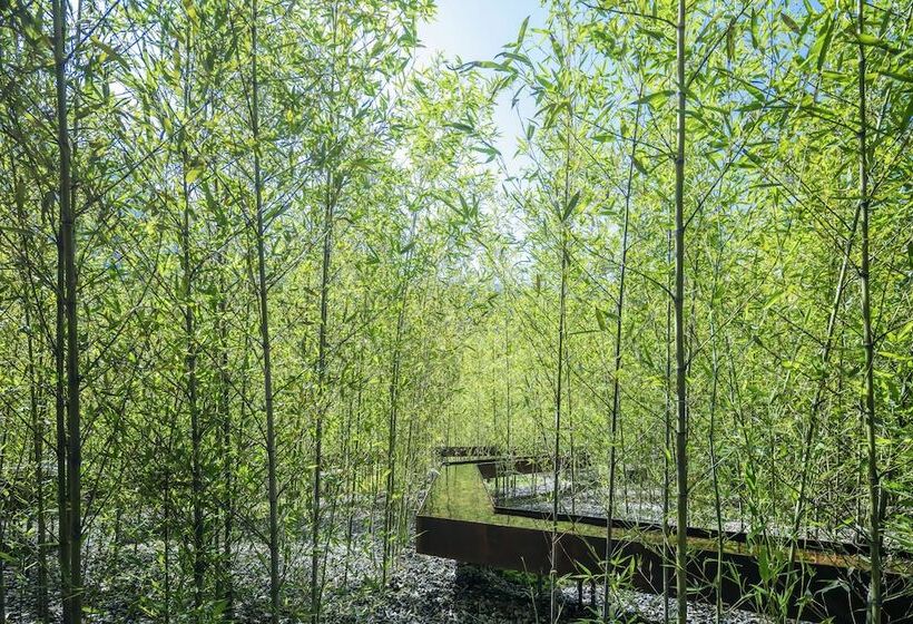 هتل Hoshinoya Guguan