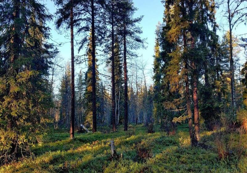 酒店 Li Sodankylä