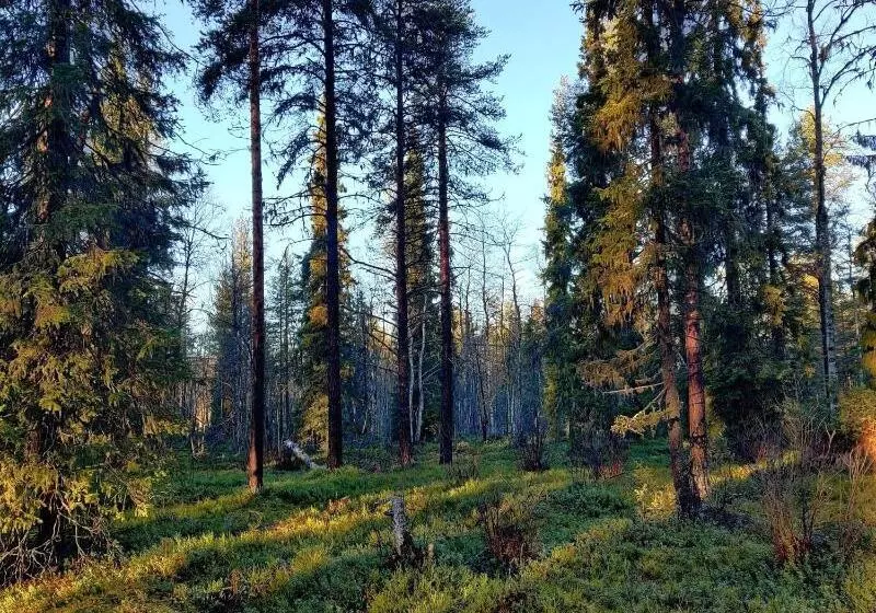 Hotelli Li Sodankylä