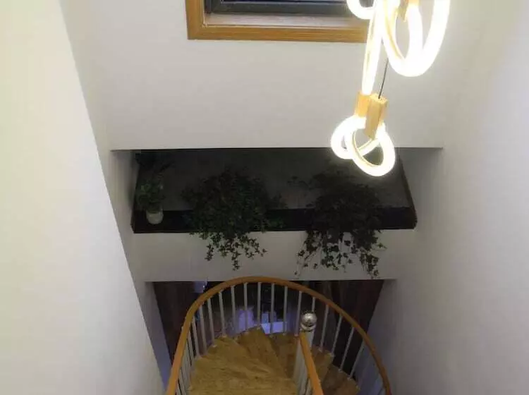 پانسیون Qingjue Guesthouse