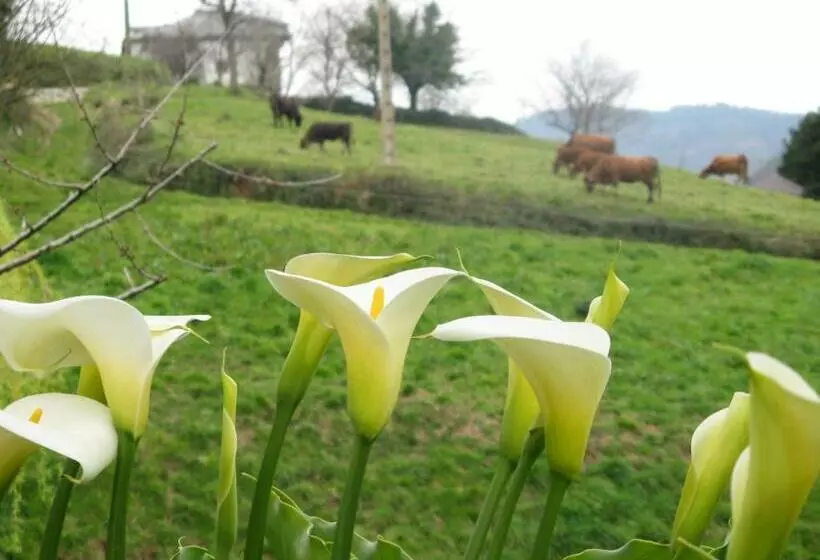 Apartamentos Rurales Casa El Caminero