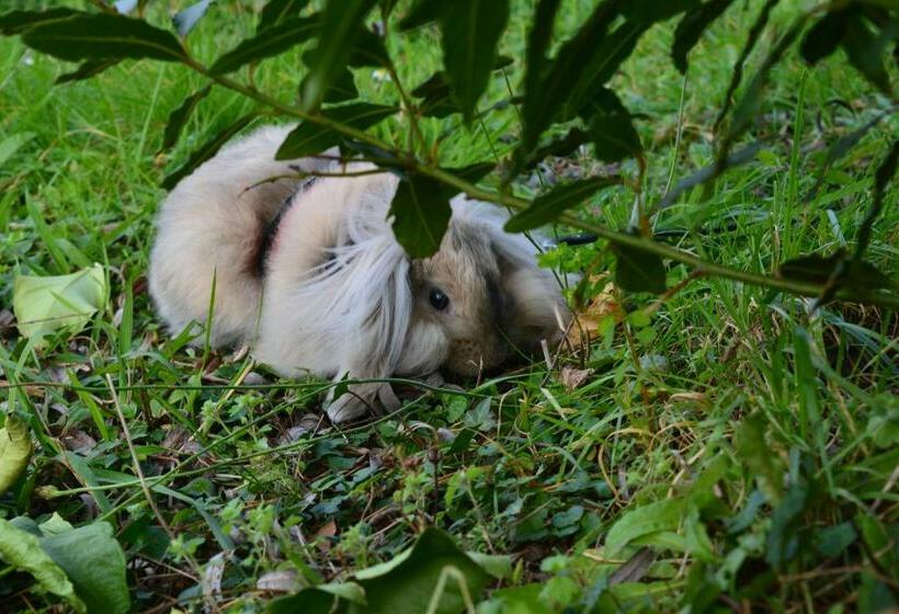 Apartamentos Rurales Casa El Caminero