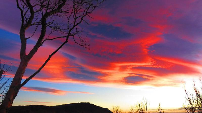 تختخواب و صبحانه Guesthouse Kalfafellsstadur