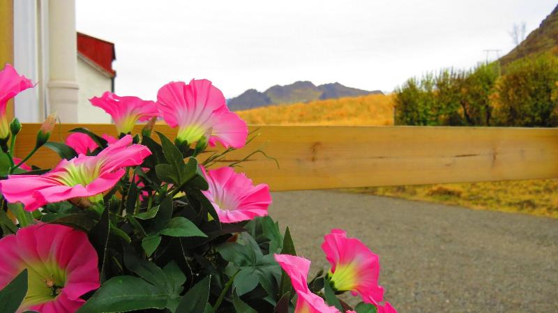 تختخواب و صبحانه Guesthouse Kalfafellsstadur