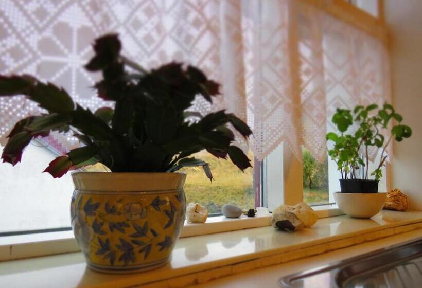 تختخواب و صبحانه Guesthouse Kalfafellsstadur