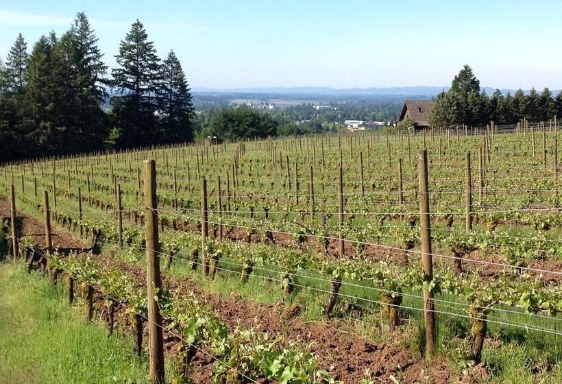 민박 Vineyard View Inn