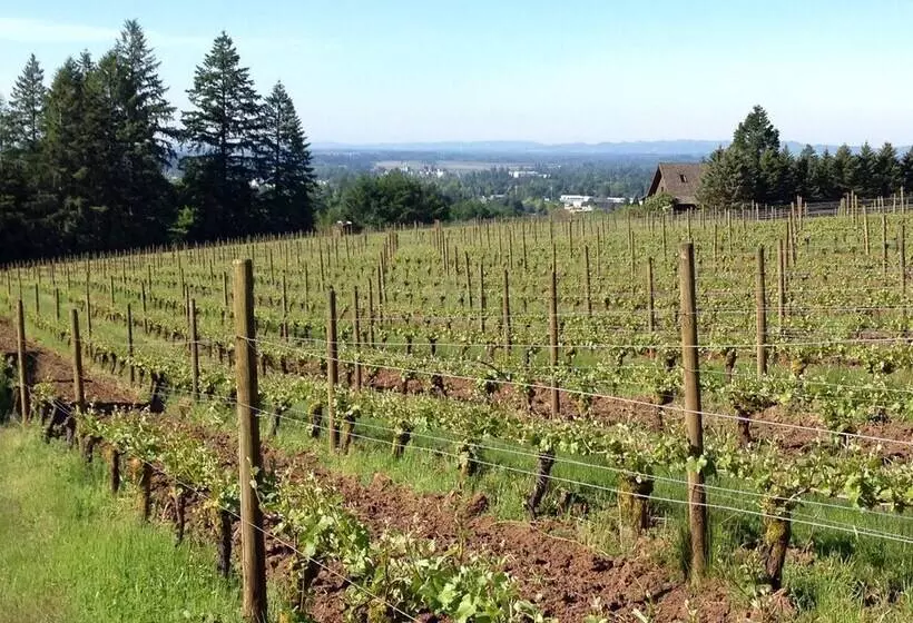 Bed and Breakfast Vineyard View Inn