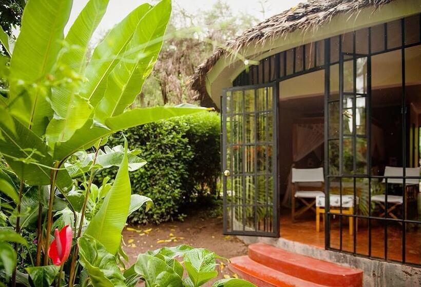 Отель Ilboru Safari Lodge