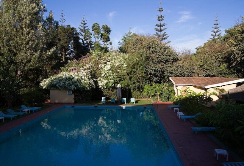 Отель Ilboru Safari Lodge