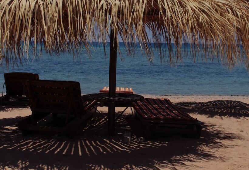 هتل Nuweiba Lodge