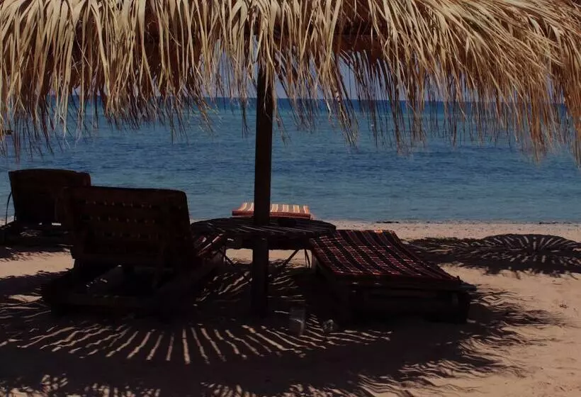 هتل Nuweiba Lodge