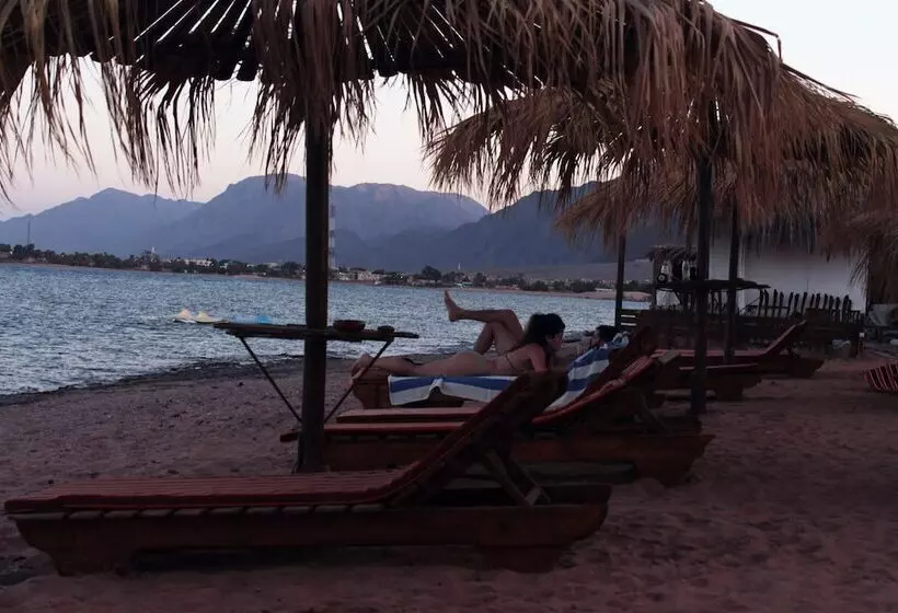 هتل Nuweiba Lodge