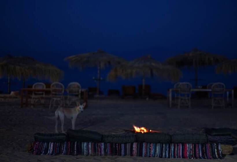 هتل Nuweiba Lodge