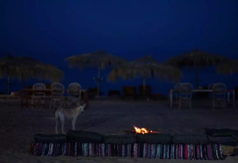 هتل Nuweiba Lodge