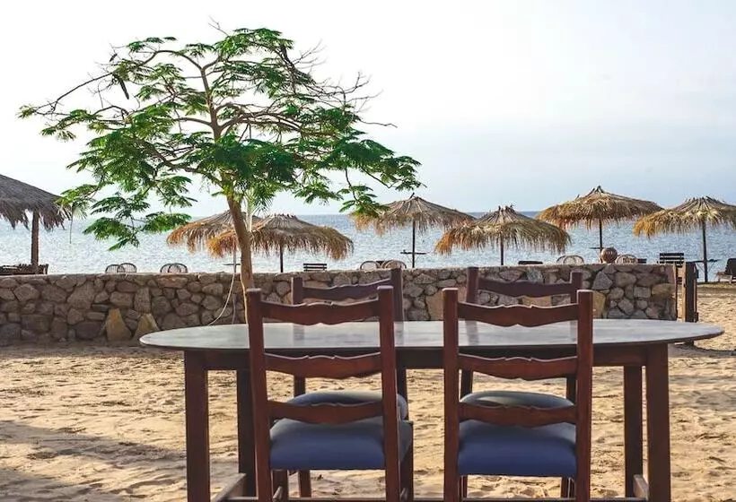 هتل Nuweiba Lodge