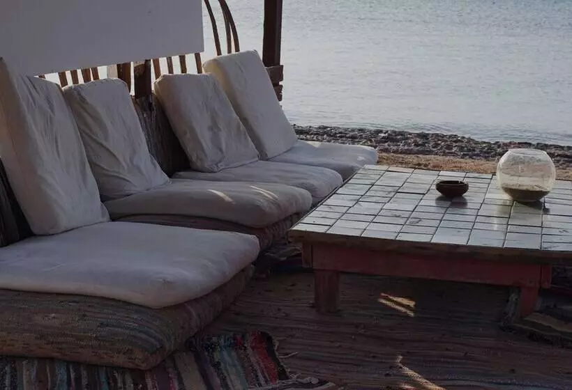 هتل Nuweiba Lodge