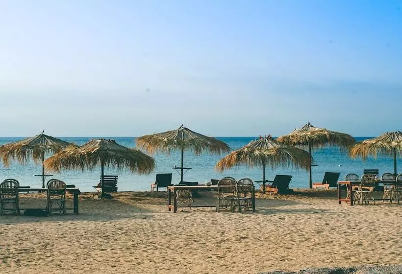 هتل Nuweiba Lodge