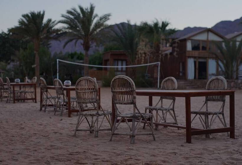 هتل Nuweiba Lodge
