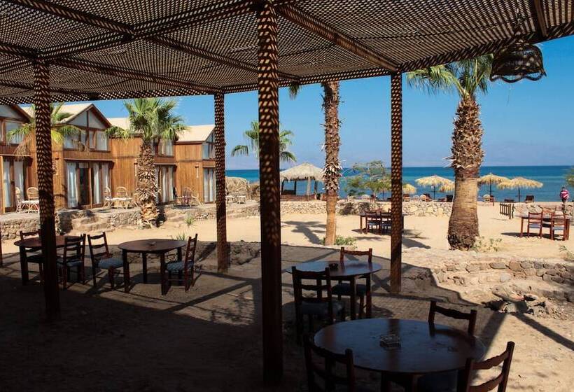 هتل Nuweiba Lodge