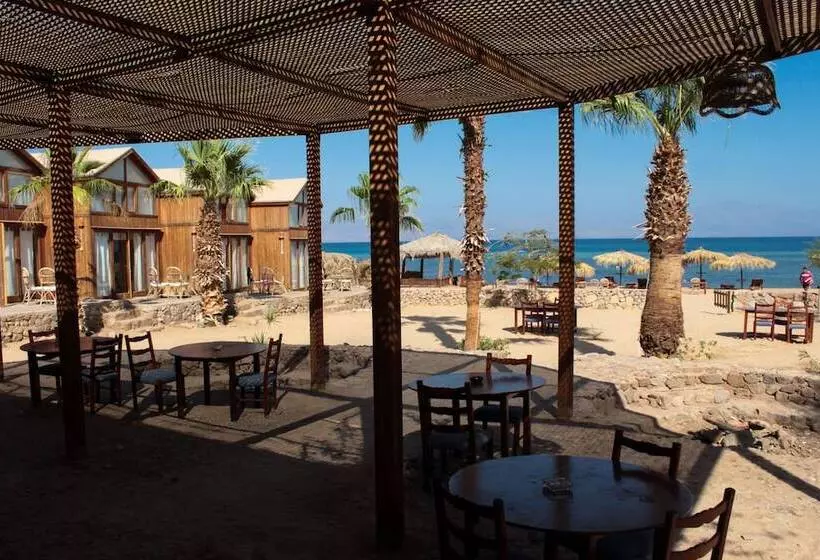 هتل Nuweiba Lodge