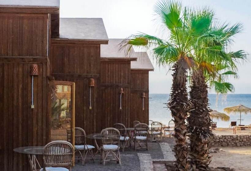 هتل Nuweiba Lodge