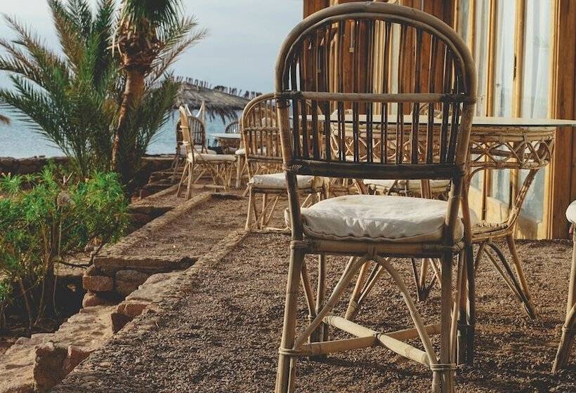 هتل Nuweiba Lodge