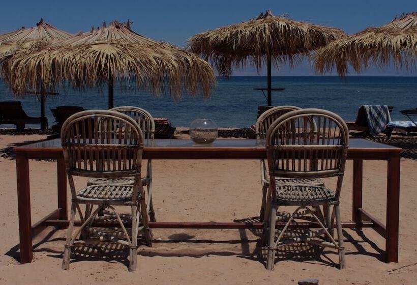 هتل Nuweiba Lodge