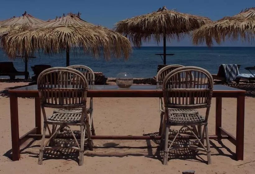 هتل Nuweiba Lodge