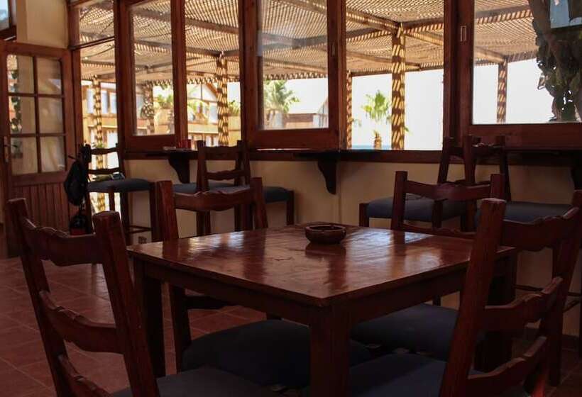 هتل Nuweiba Lodge